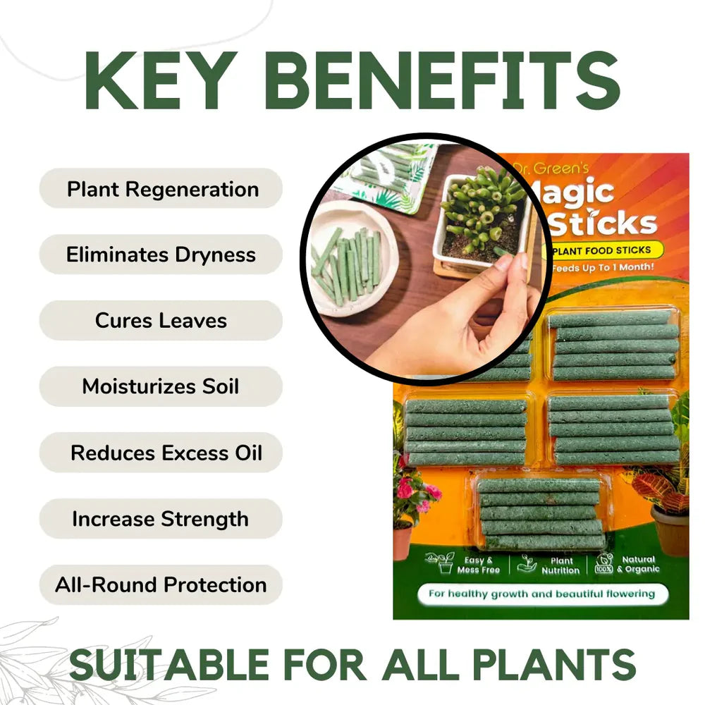 🌱✨ Plant Grow Fertilizer Sticks – Healthy Growth Made Easy 🌿🪴