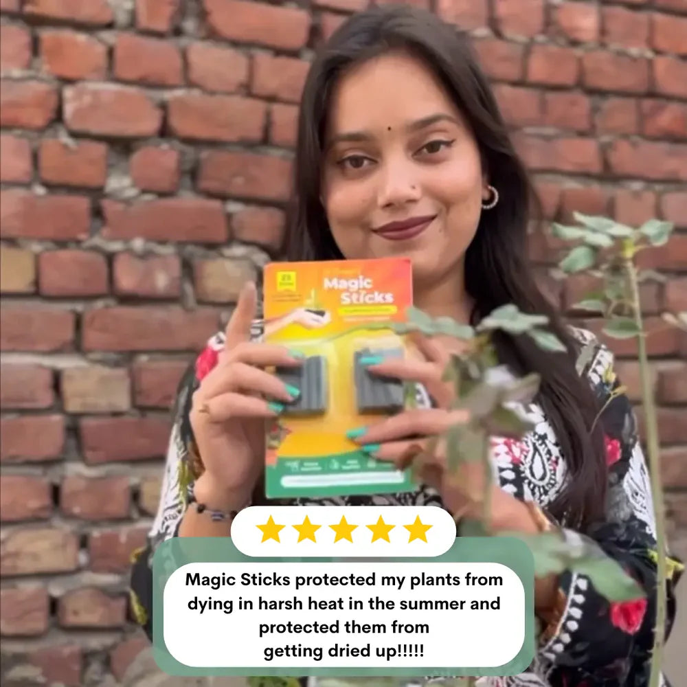 🌱✨ Plant Grow Fertilizer Sticks – Healthy Growth Made Easy 🌿🪴
