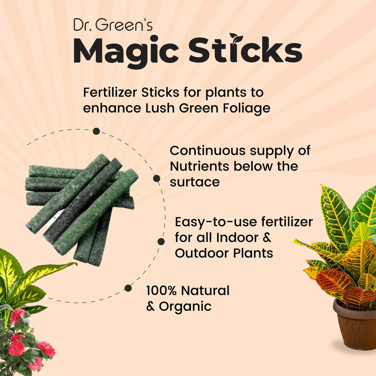 🌱✨ Plant Grow Fertilizer Sticks – Healthy Growth Made Easy 🌿🪴