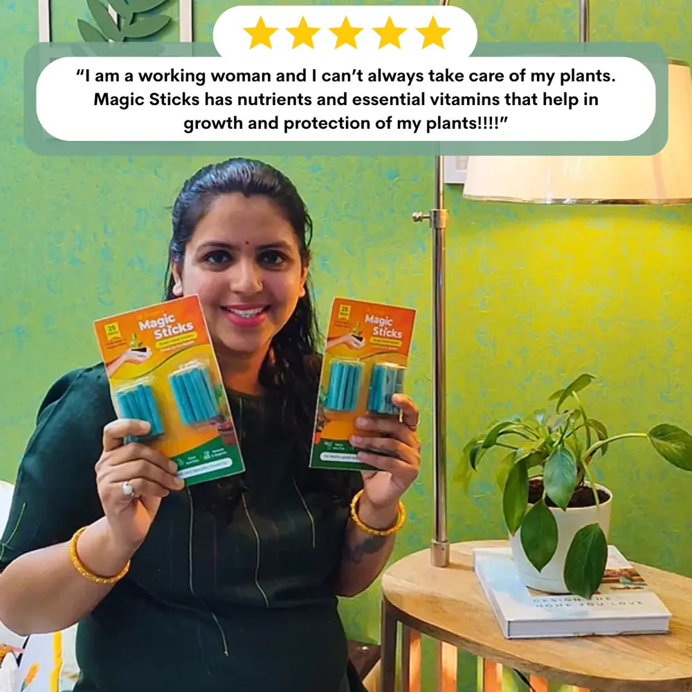 🌱✨ Plant Grow Fertilizer Sticks – Healthy Growth Made Easy 🌿🪴