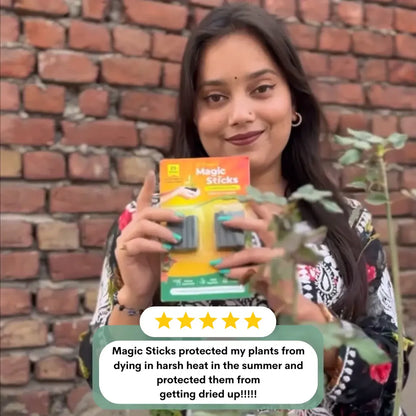 🌱✨ Plant Grow Fertilizer Sticks – Healthy Growth Made Easy 🌿🪴