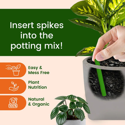 🌱✨ Plant Grow Fertilizer Sticks – Healthy Growth Made Easy 🌿🪴