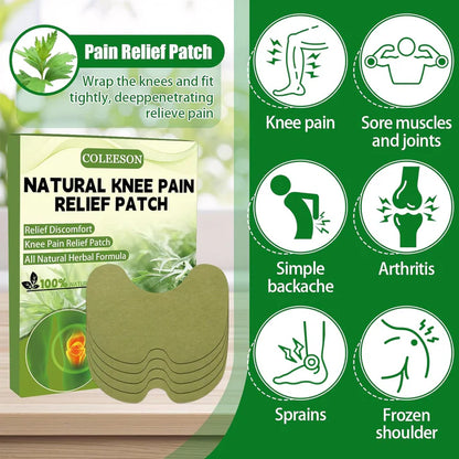 HealPatch™ - Natural Knee Pain Relief Patches🌿